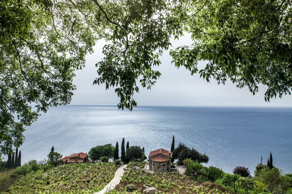 Elba island, Tuscany, Italy