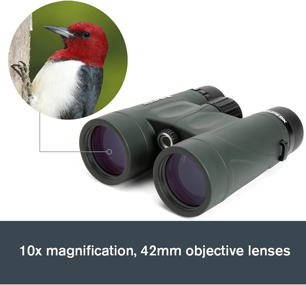 Celestron – Nature DX 8x42 Binoculars – Outdoor and Birding Binocular – Fully Multi-coated with BaK-4 Prisms – Rubber Armored – Fog  Waterproof Binoculars – Top Pick Optics